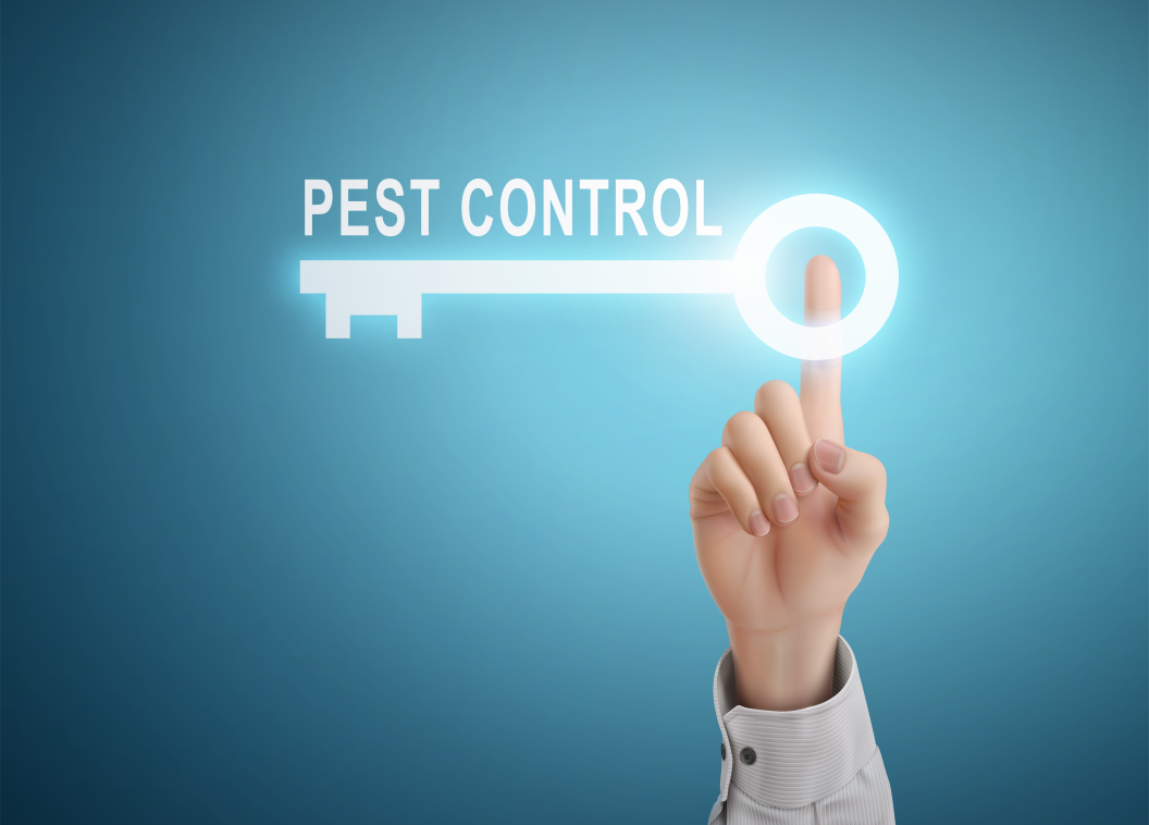 Pest Proofing Your Business