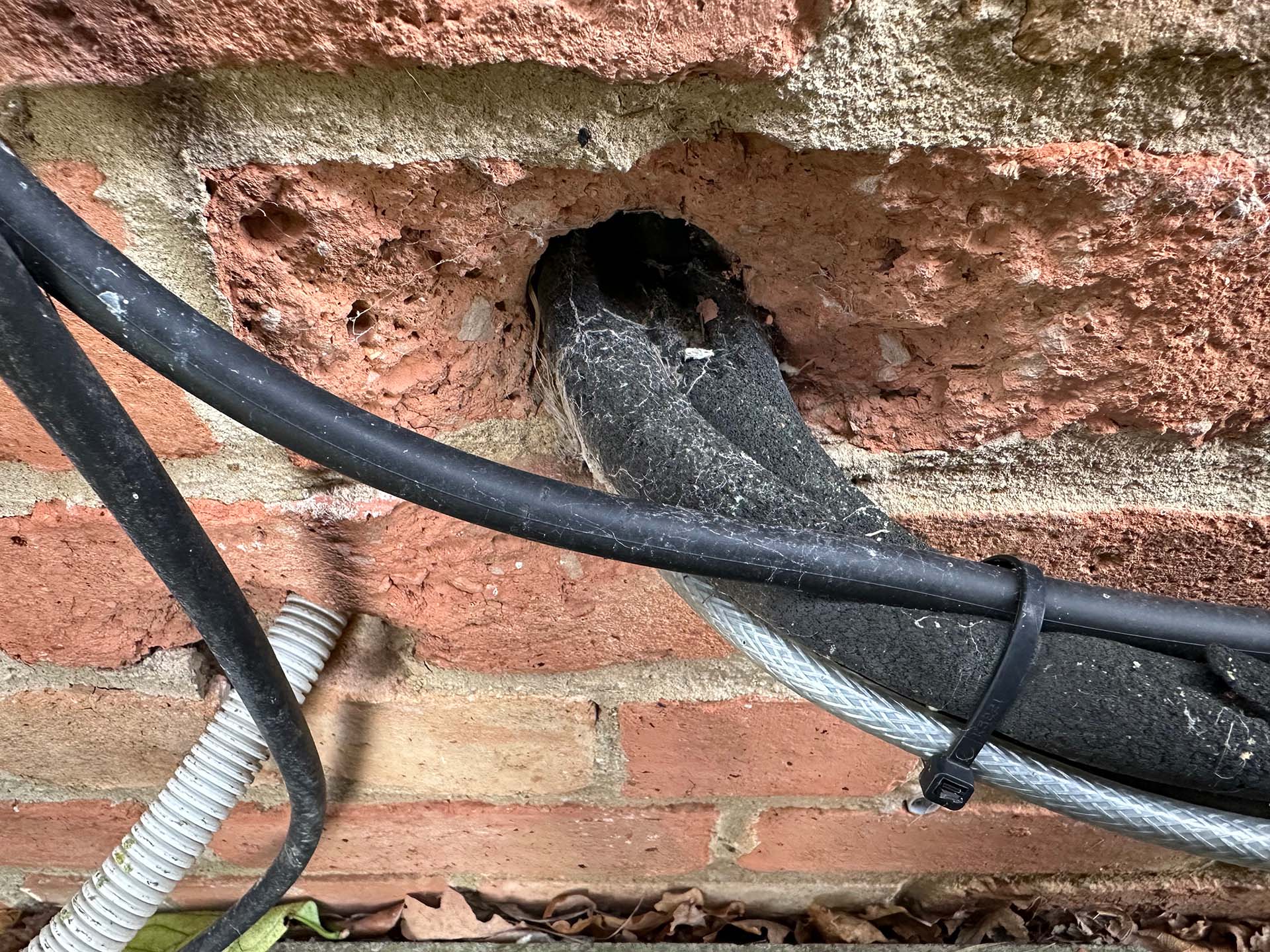 Effective Pest Proofing Strategies for Properties the picture shows a gap around utility wires entering a building, this is big enough for mice, rats, and various other pests to gain entry to the home