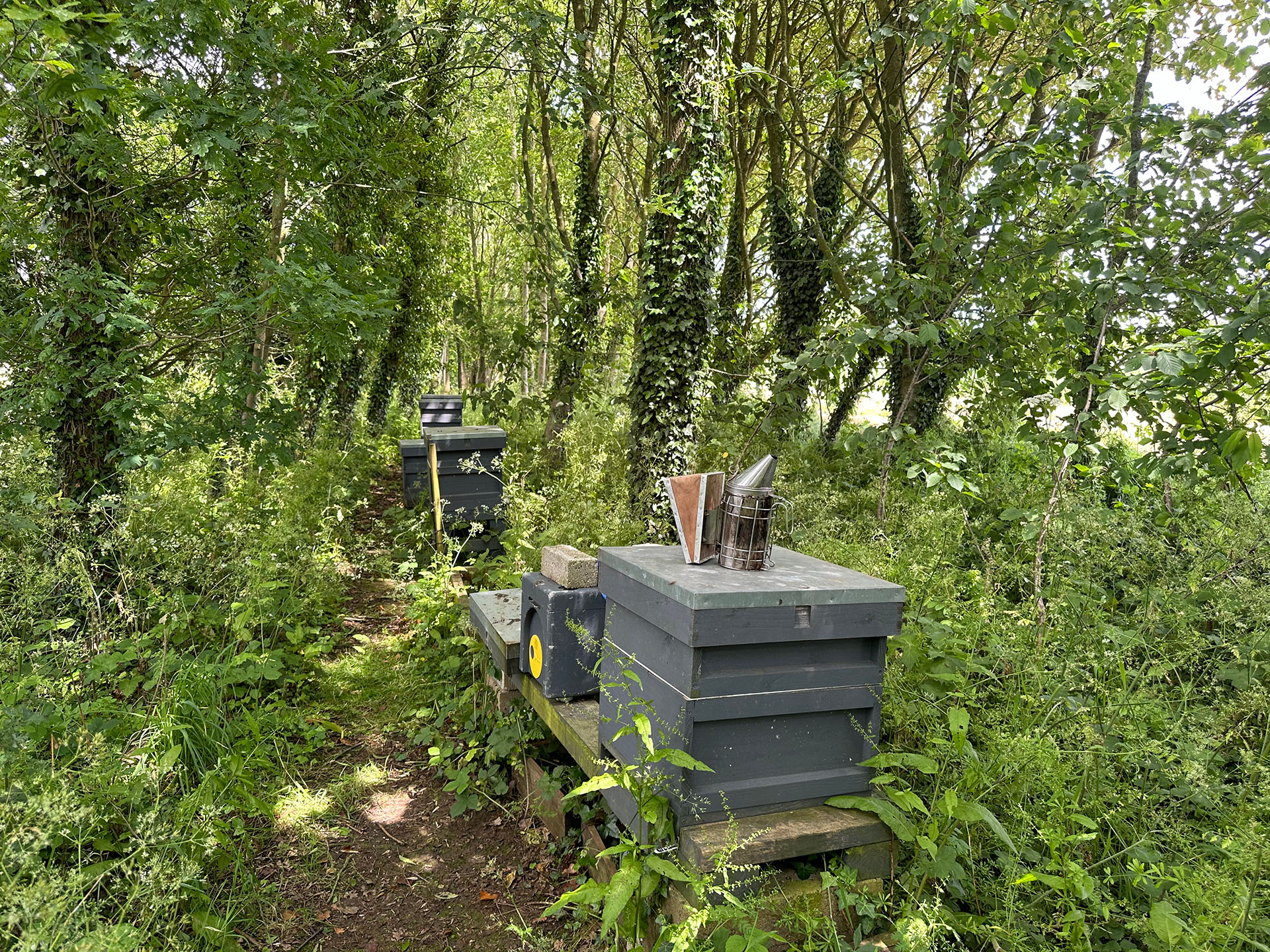Did You Know We Are Beekeepers?