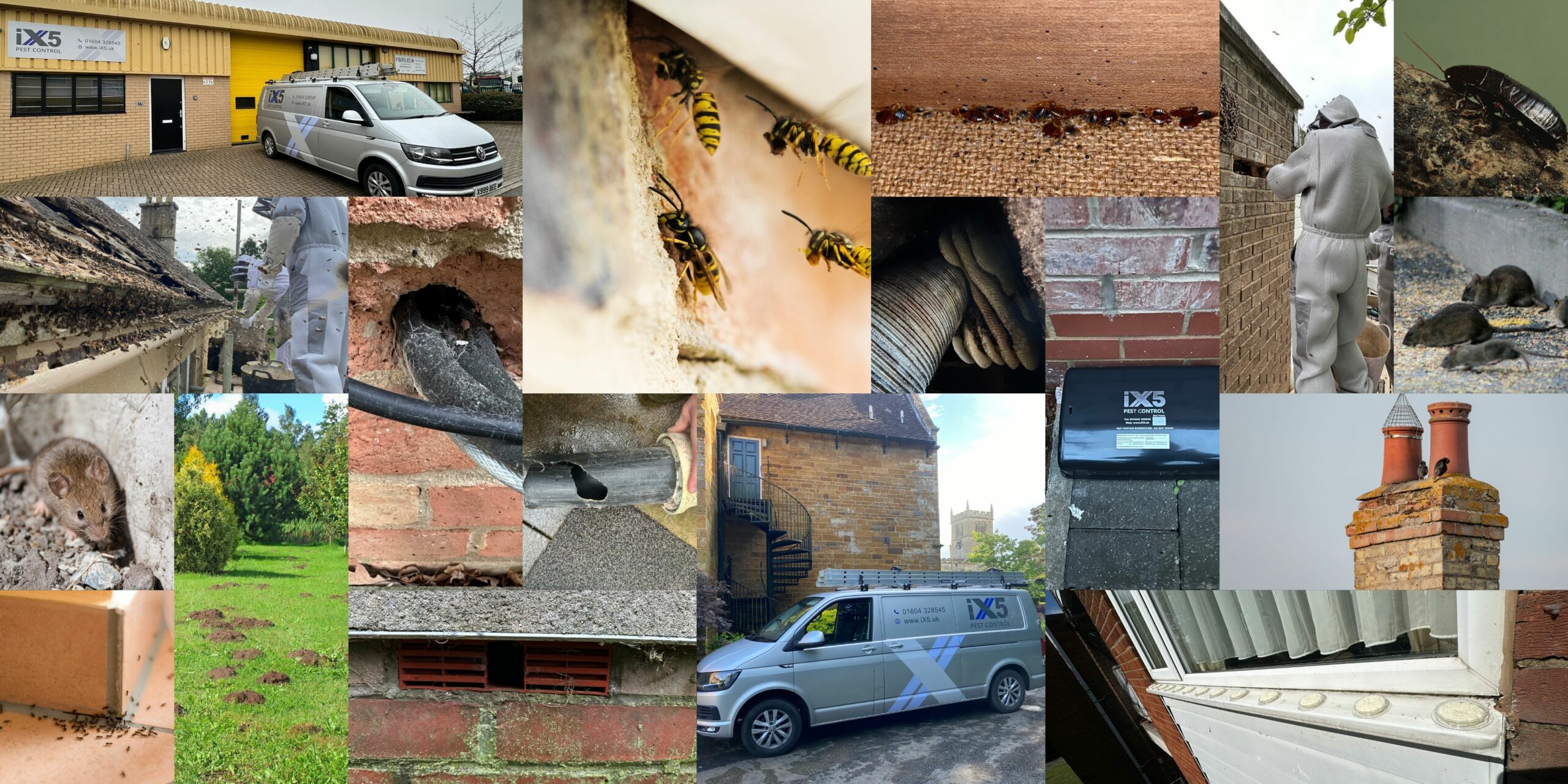 Pest Prevention - this image is a collage made up of various pest prevention tips