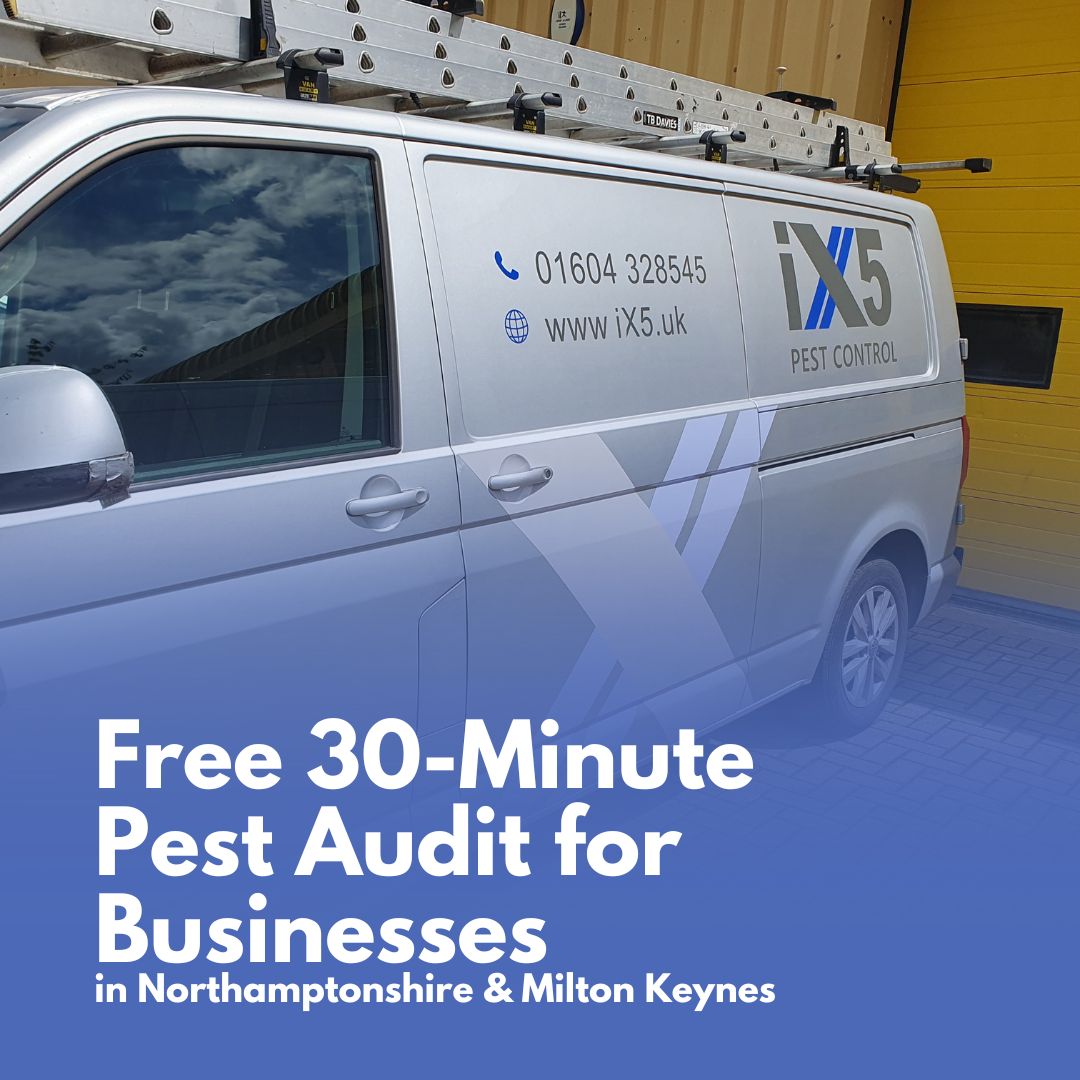 Free 30-Minute Pest Audit for Businesses in Northamptonshire & Milton Keynes
