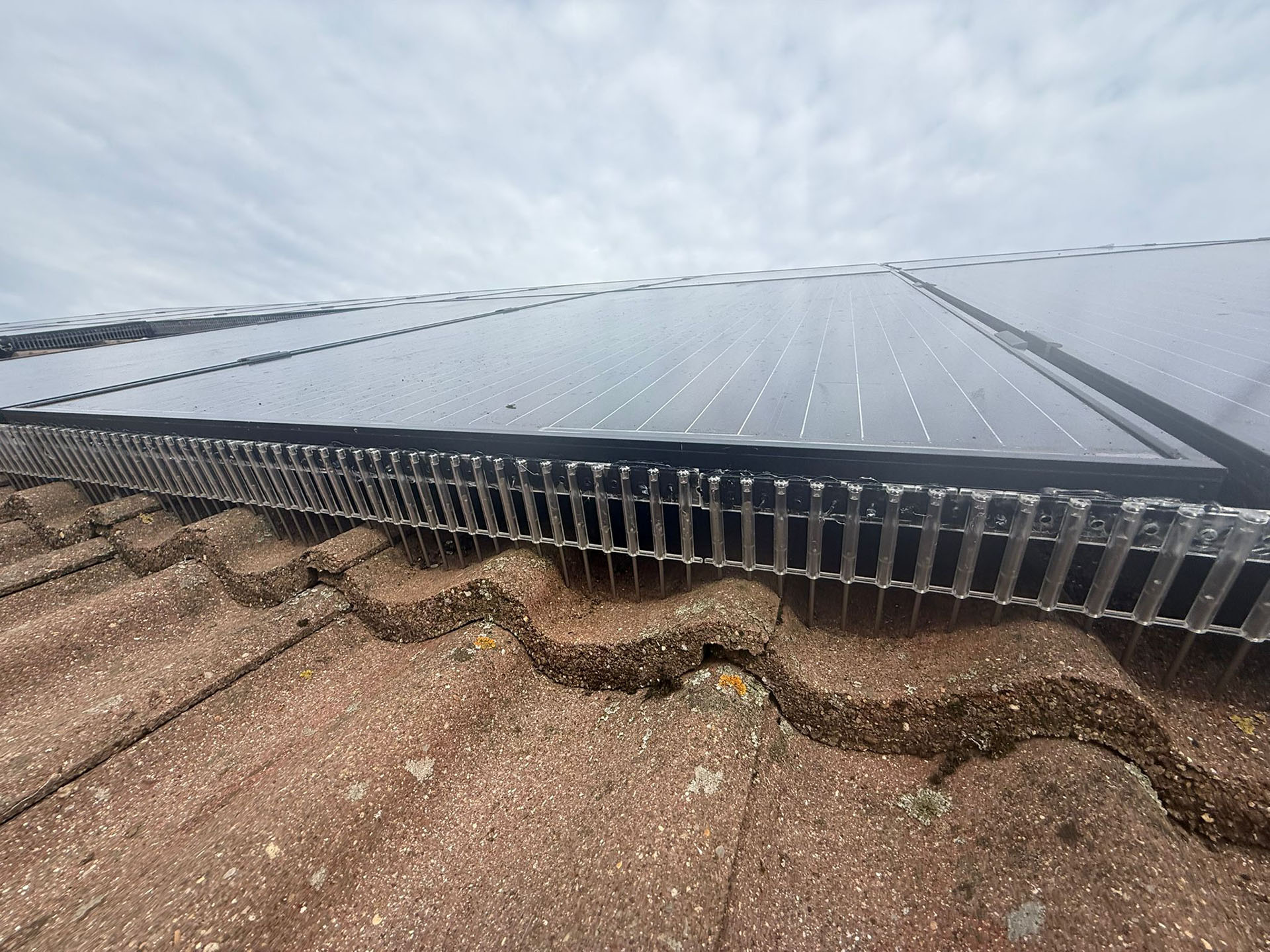 solar panel bird proofing, this image shows the neat solar panel proofing measures we implemented for a Northampton home owner