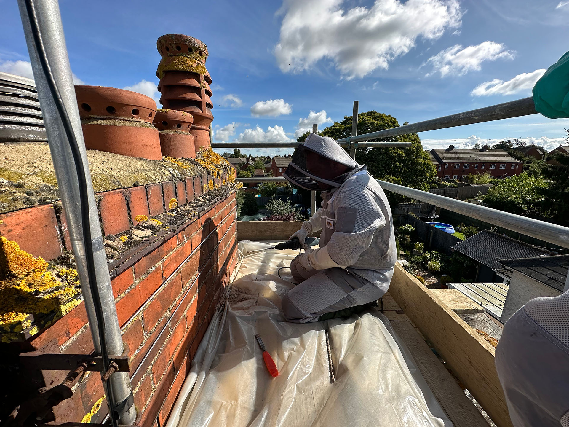 Professional beekeeper safely removing honeybee nest from chimney during relocation. What To Do If Bees Nest In Your Property