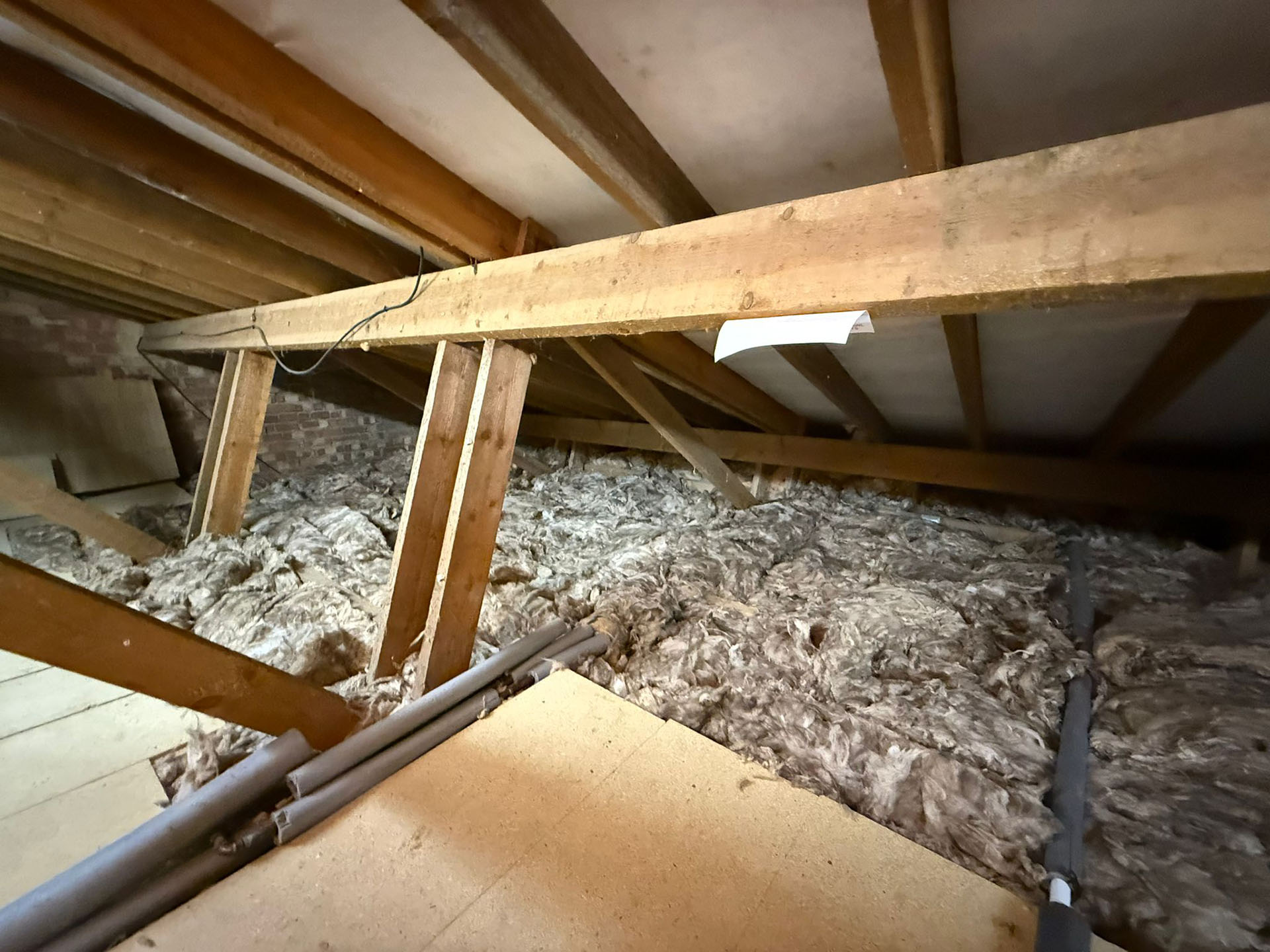 The Rat Problem That Wouldn’t Go Away Until It Was Properly Understood