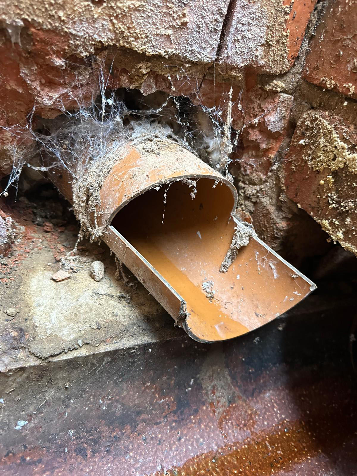 Abandoned drainage pipe left uncapped beneath a property, creating an access route for rats into the building.