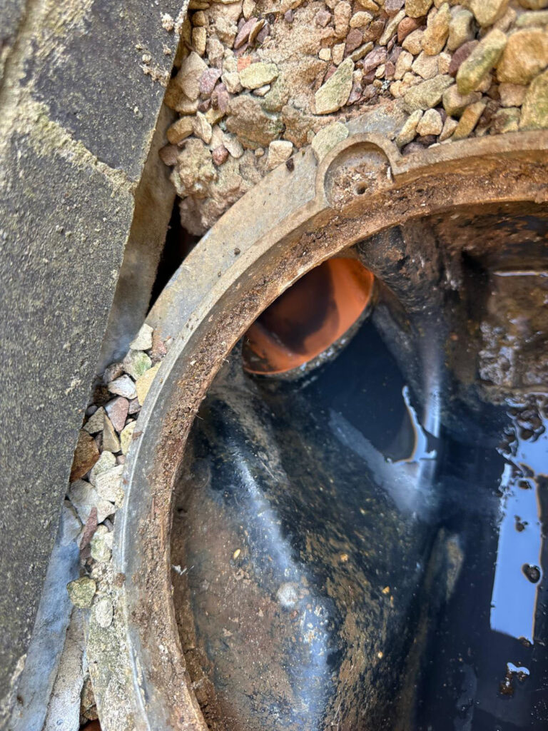 Inspection chamber showing an uncapped drainage pipe allowing rats to enter and leave the underground drainage system.