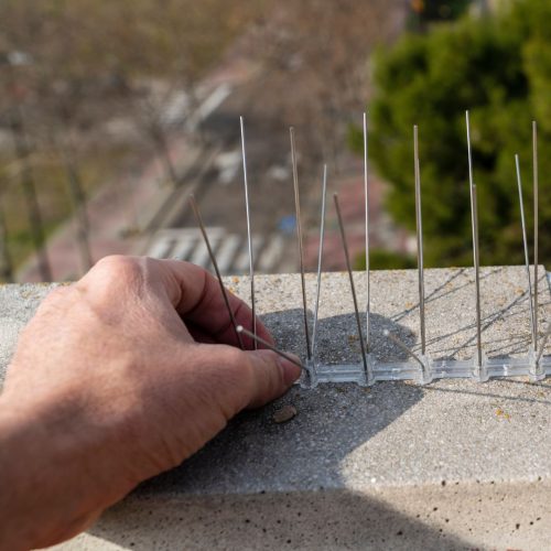 bird proofing