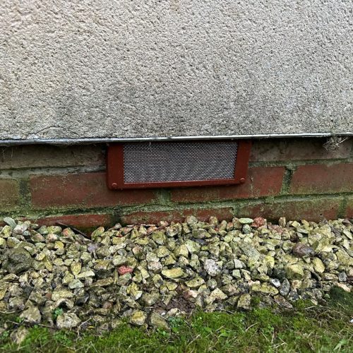 How to Pest Proof Your Property Ready for Autumn 2