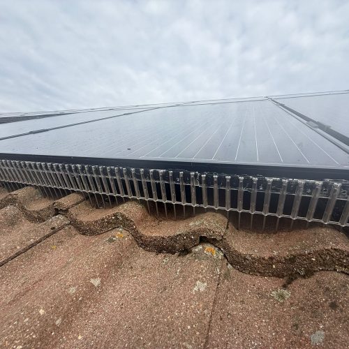 solar panel bird proofing, this image shows the neat solar panel proofing measures we implemented for a Northampton home owner