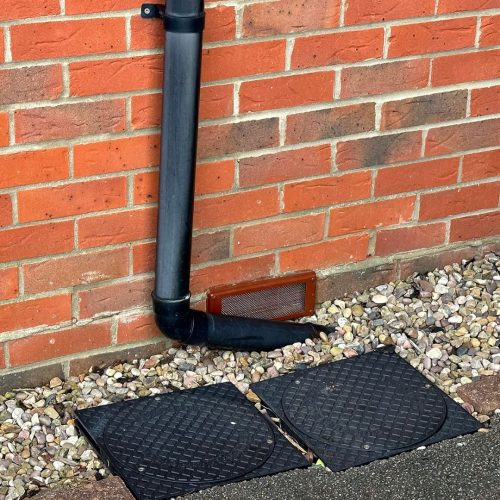 pest prevention services